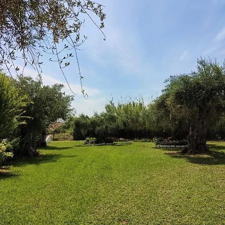 Firefly Christos 13 * Moraitika