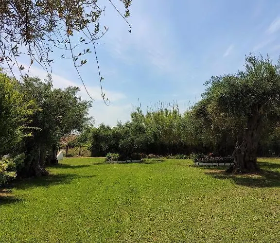 Firefly Christos 13 * Moraḯtika